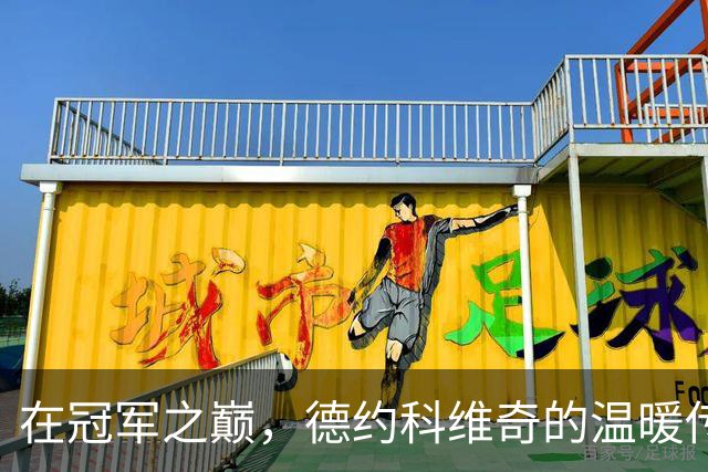 在冠军之巅，德约科维奇的温暖传承与幽默智慧