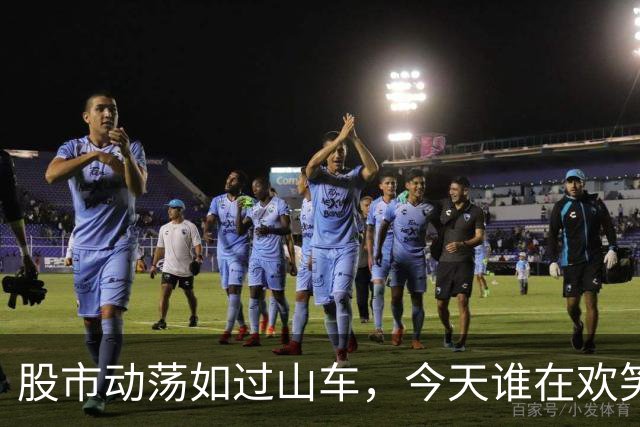 股市动荡如过山车，今天谁在欢笑，谁又在哭泣？